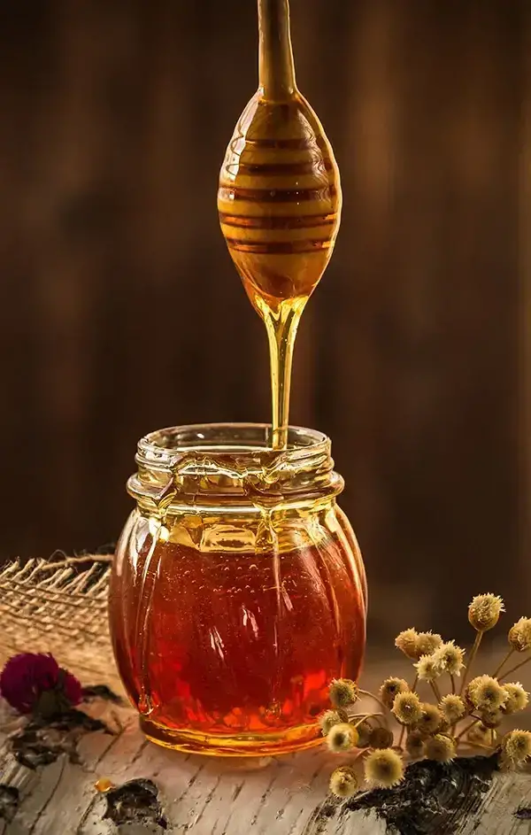 Doğal Ballarımız
