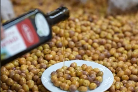 Özenle Seçilen Zeytinler